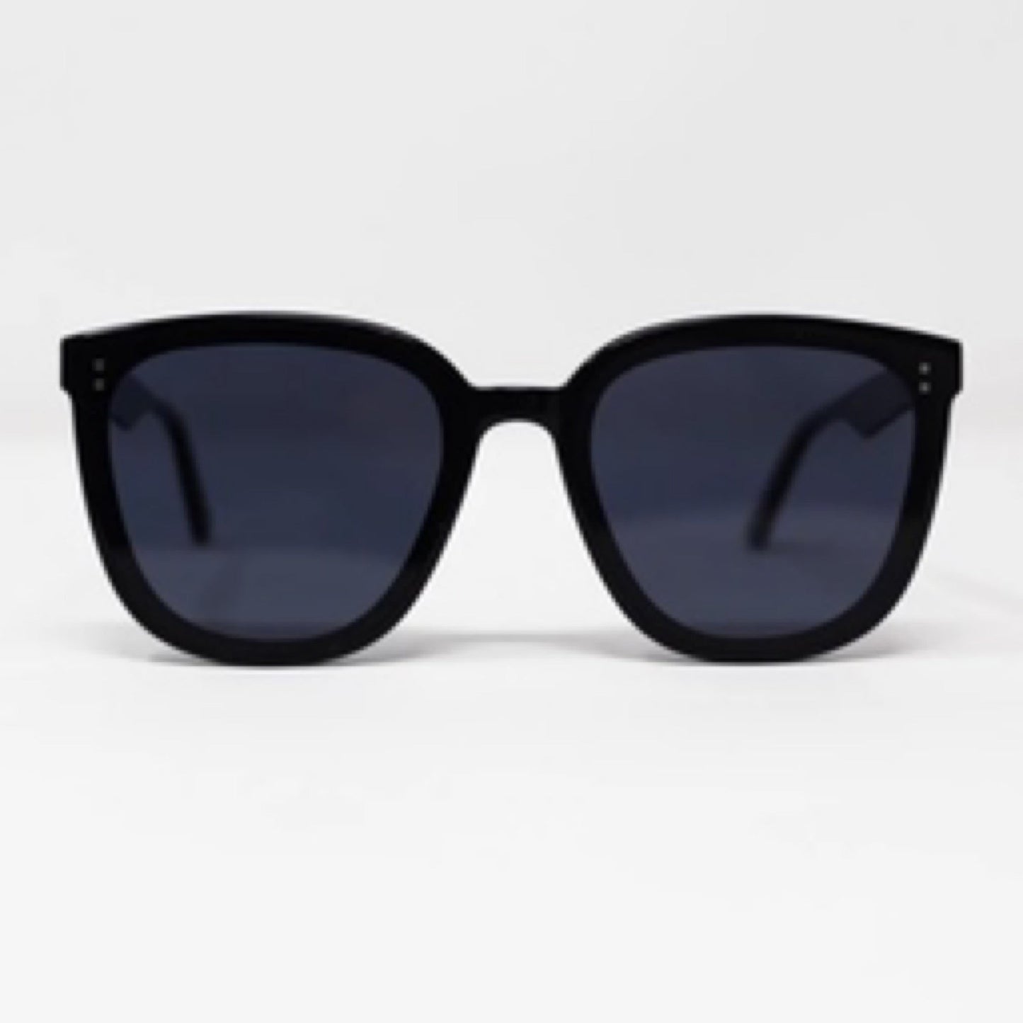 Alba Persol Acetate Sunglasses in black