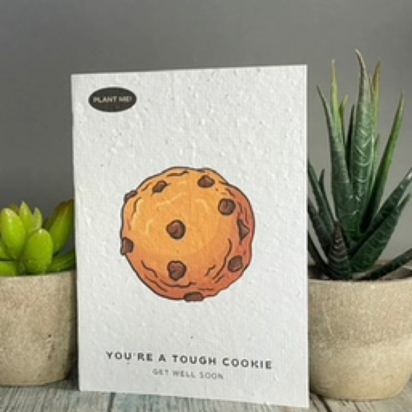 You're a Tough Cookie Plantable Greeting Card