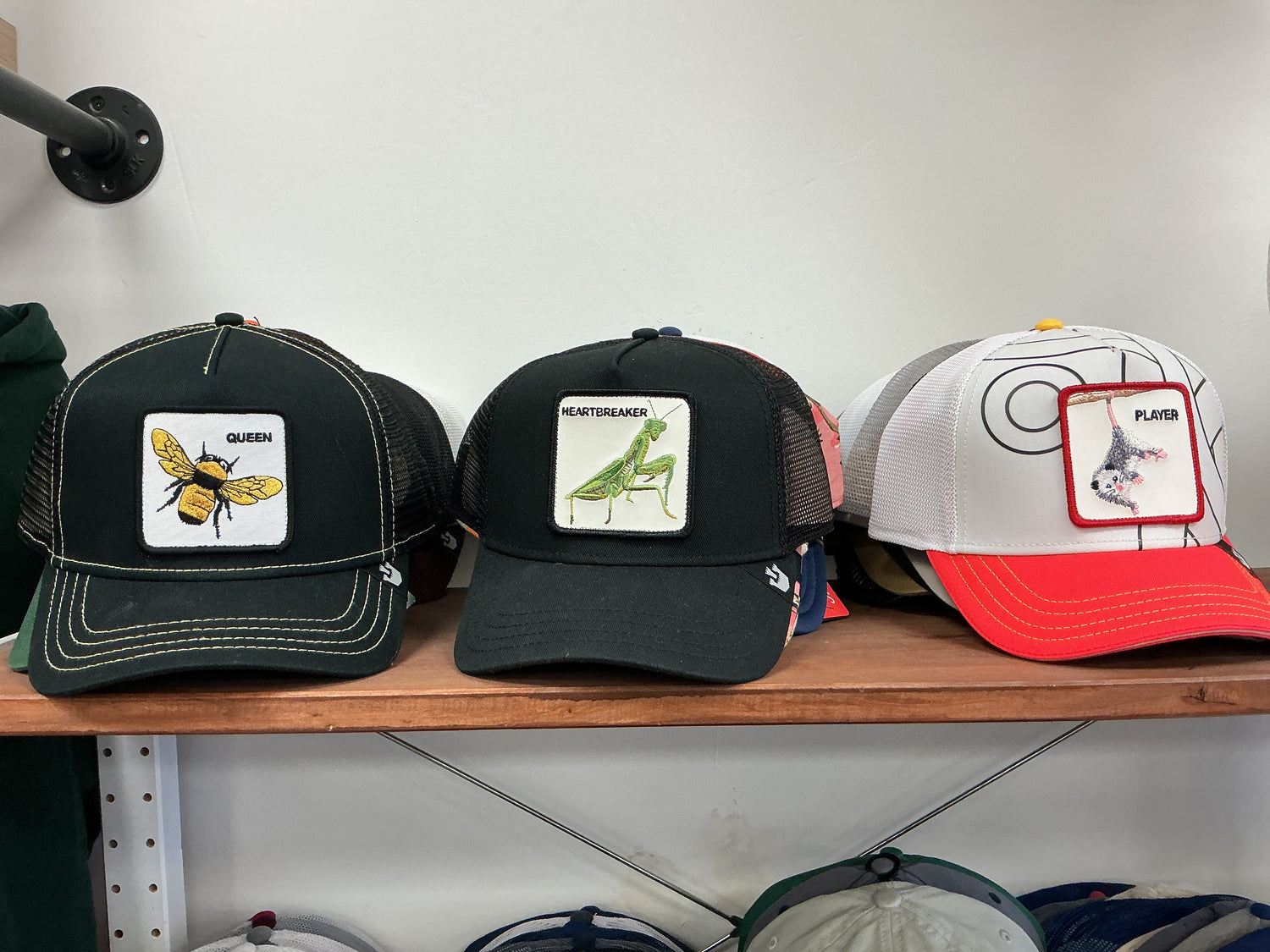 Goorin bro’s hats