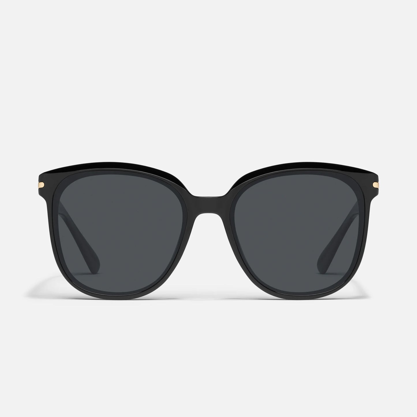 Rent Free Polarized