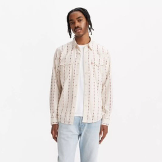 classic western standard aaron floral stripe
