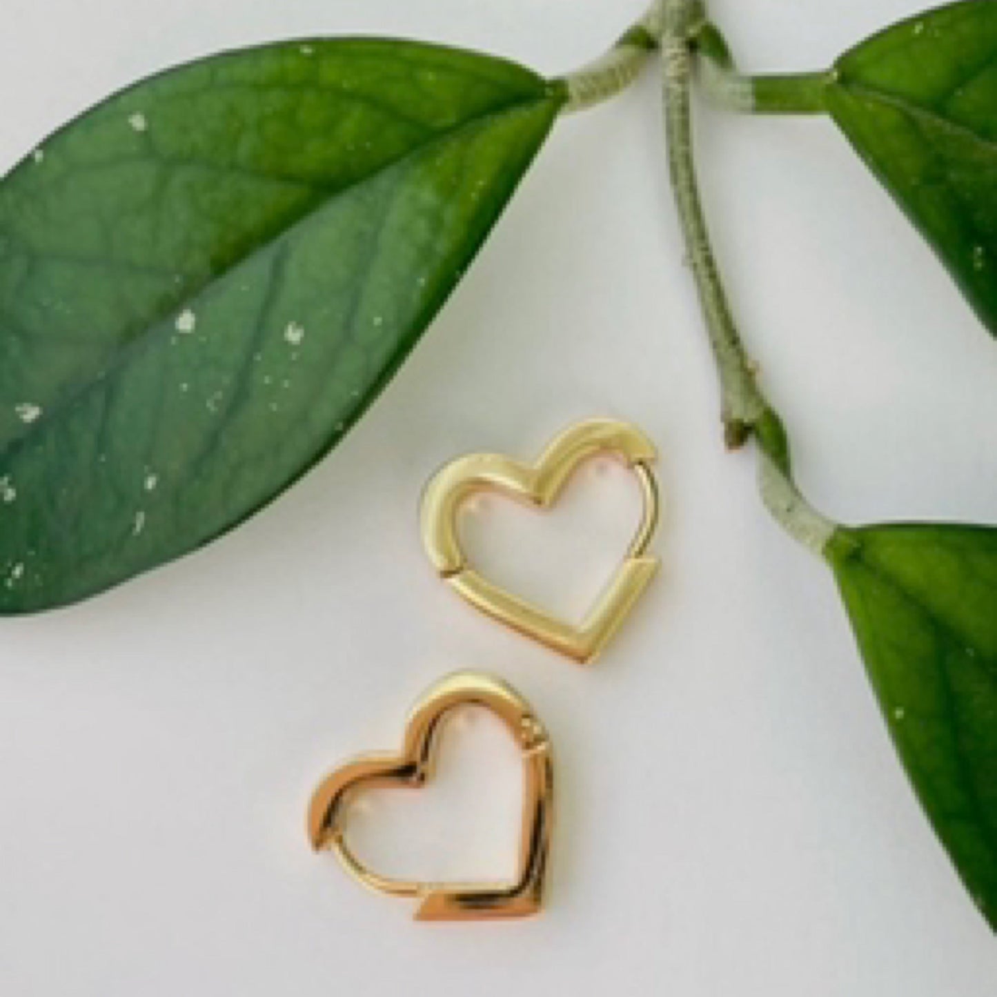Eternal Gold Earrings