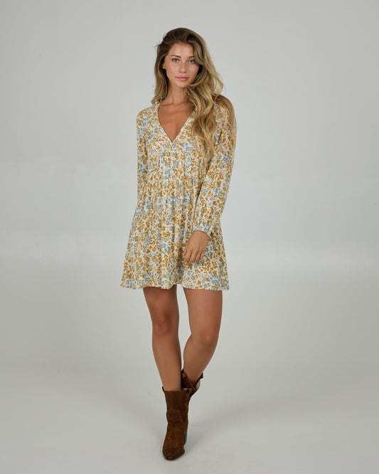 HIDDEN DITSY LS DRESS